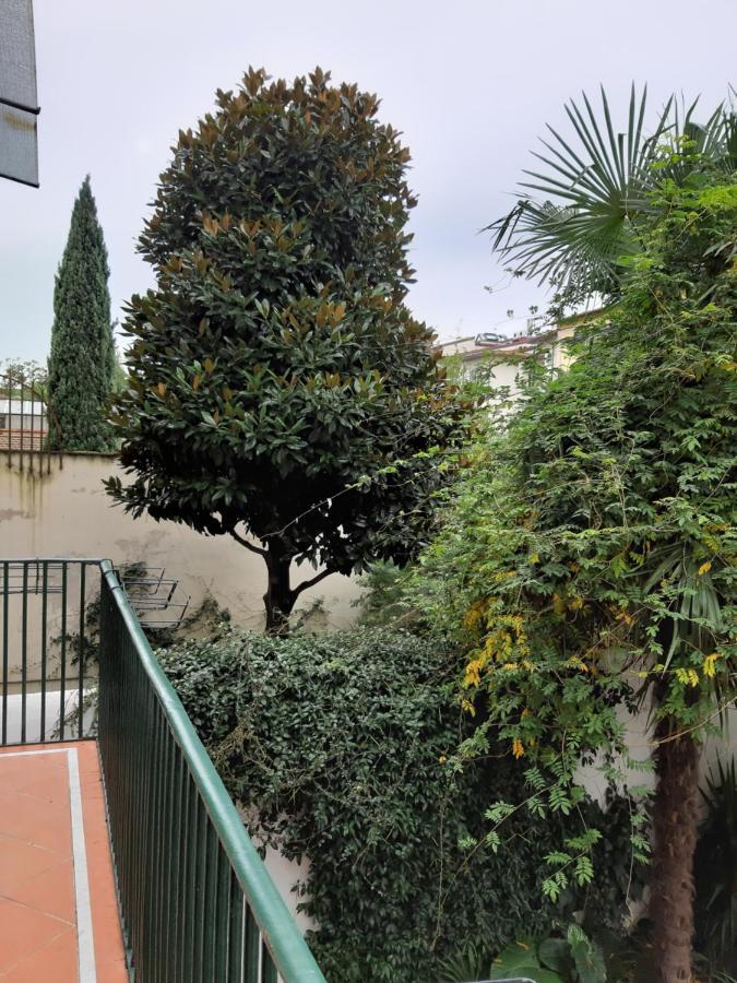 Garden *