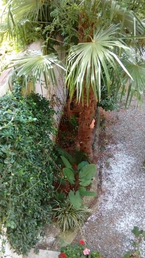 Appartement Garden